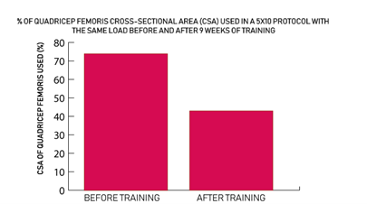 Grafiek-progressive-overload